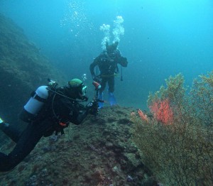 DCIM100GOPROGOPR5855.JPG