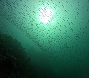 DCIM100GOPROGOPR5875.JPG