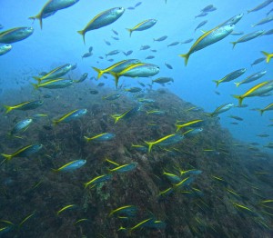 DCIM100GOPROGOPR5891.JPG