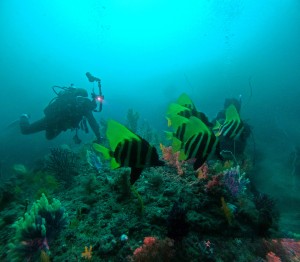 DCIM100GOPROGOPR5942.JPG