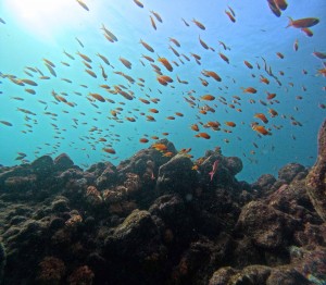 DCIM100GOPROGOPR5950.JPG