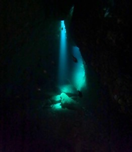 DCIM100GOPROGOPR5987.JPG