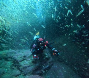 DCIM100GOPROGOPR6009.JPG