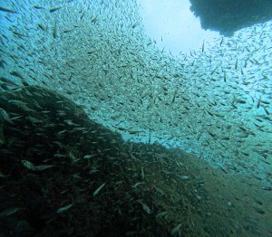 DCIM100GOPROGOPR6012.JPG