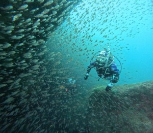 DCIM100GOPROGOPR6017.JPG