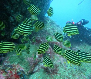 DCIM100GOPROGOPR6025.JPG