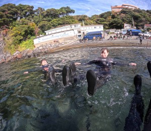 DCIM100GOPROGOPR6068.JPG