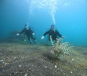 DCIM100GOPROGOPR6073.JPG
