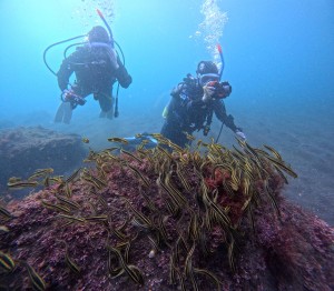DCIM100GOPROGOPR6094.JPG
