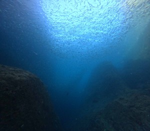 DCIM100GOPROGOPR6126.JPG