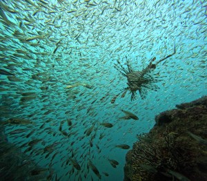 DCIM100GOPROGOPR6144.JPG
