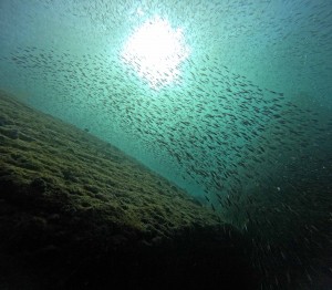 DCIM100GOPROGOPR6153.JPG