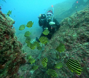 DCIM100GOPROGOPR6155.JPG