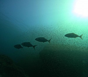 DCIM100GOPROGOPR6160.JPG