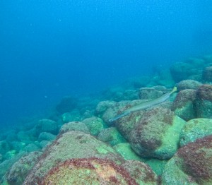 GOPR6228