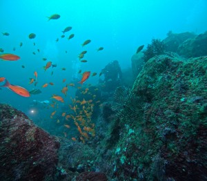 DCIM100GOPROGOPR8065.JPG