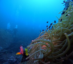 DCIM100GOPROGOPR8068.JPG