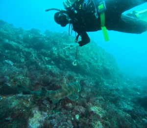 DCIM100GOPROGOPR8073.JPG