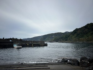 IMG_2742