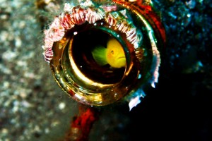 LINE_ALBUM_20251126_251126_19