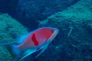 LINE_ALBUM_20251126_251126_27