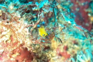 LINE_ALBUM_20251126_251126_70