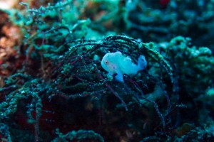 LINE_ALBUM_20251126_251126_81