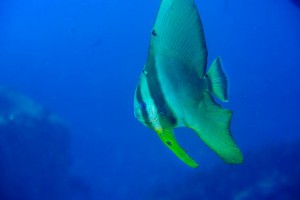 DSC08808