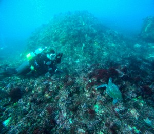 GOPR3584
