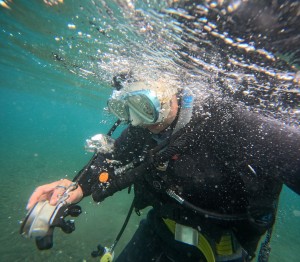DCIM101GOPROGOPR3596.JPG