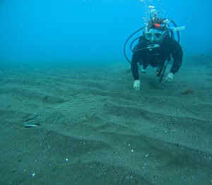 DCIM101GOPROGOPR3653.JPG