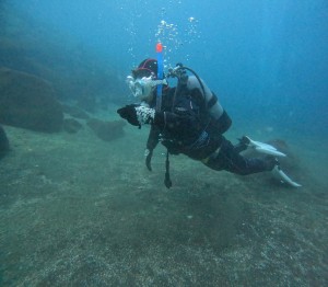 DCIM101GOPROGOPR3681.JPG