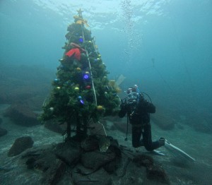 DCIM101GOPROGOPR3712.JPG