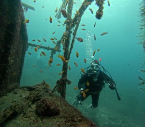 DCIM101GOPROGOPR3716.JPG