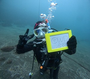 DCIM101GOPROGOPR3731.JPG