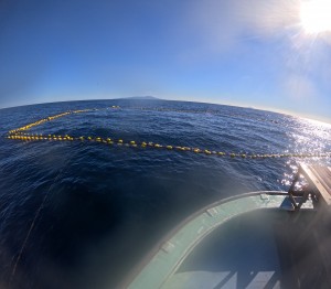 DCIM101GOPROGOPR3754.JPG
