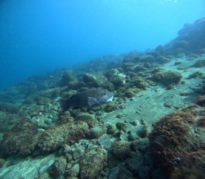 DCIM101GOPROGOPR3801.JPG