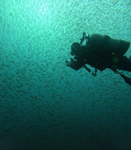 DCIM101GOPROGOPR3861.JPG