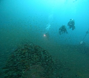 DCIM101GOPROGOPR3884.JPG