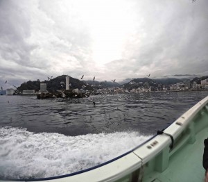 DCIM101GOPROGOPR3928.JPG