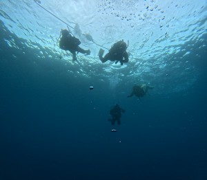 DCIM101GOPROGOPR3934.JPG