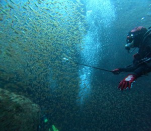 DCIM101GOPROGOPR3944.JPG