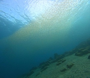 DCIM101GOPROGOPR4071.JPG