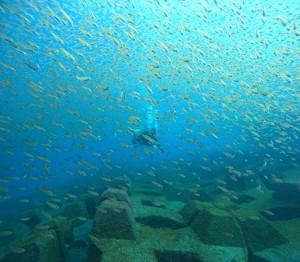 DCIM101GOPROGOPR4086.JPG