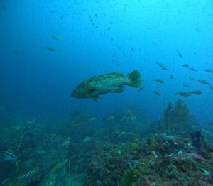 DCIM101GOPROGOPR4213.JPG