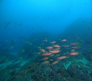 DCIM101GOPROGOPR4221.JPG