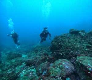 DCIM101GOPROGOPR4229.JPG