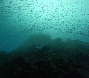 DCIM101GOPROGOPR4266.JPG