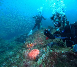 DCIM101GOPROGOPR4287.JPG