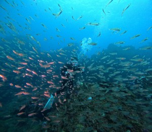 DCIM101GOPROGOPR4290.JPG